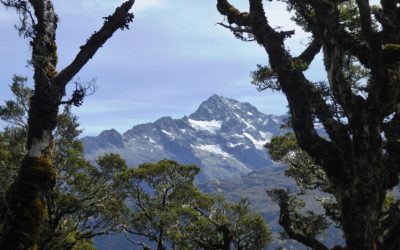 Routeburn Track