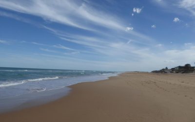 Ninety Mile Beach