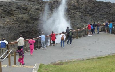 Na południe od Sydney